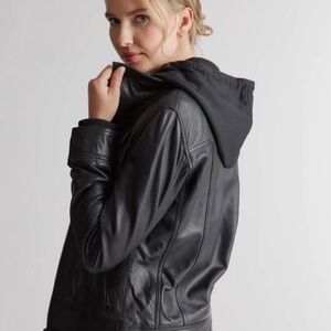 Quince 100% Leather Jacket with Hood in Black